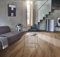 Parador Basic Plus 600 XS 1593830 Дуб Монтана Выбеленный фото 3 | FLOORDEALER